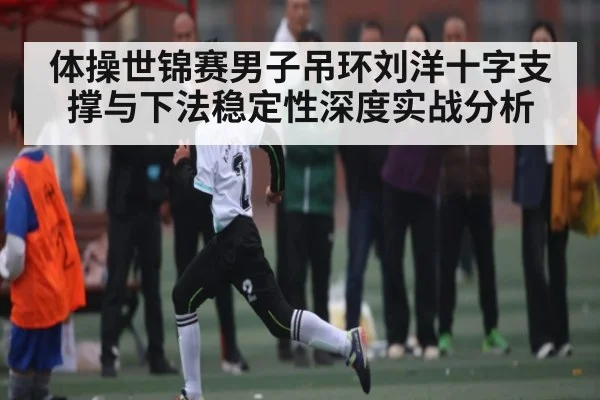 体操世锦赛男子吊环刘洋十字支撑与下法稳定性深度实战分析