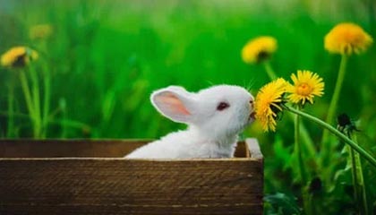 世界杯官网入口-连克西部两强！泰伦·卢的快艇初步改造宣告成功